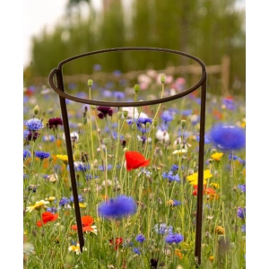 Podpora do roślin krzewów kwiatów pergola ozdoba komplet 2 sztuk średnica 30 wysokość 50cm JAKOŚĆ solidna